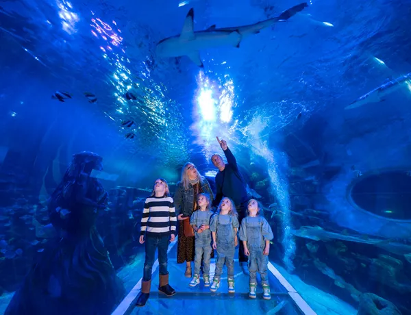 sl-birmingham-ocean-tunnel-family