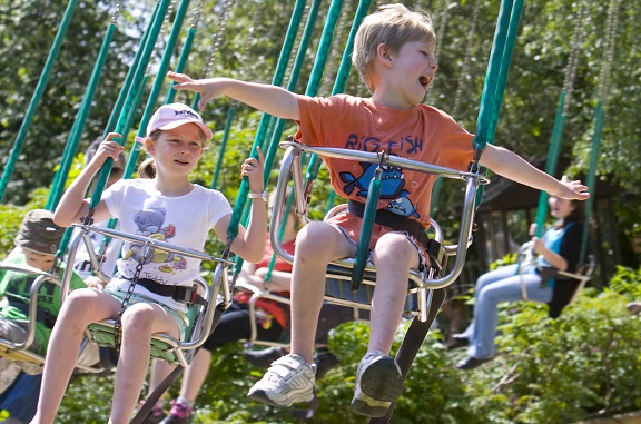 tree-top-swings