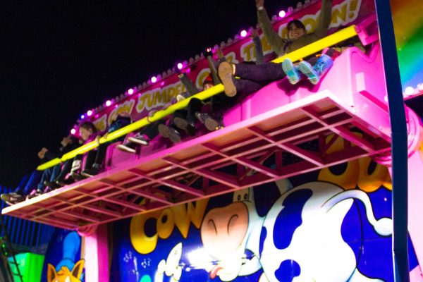 Cow-Jump-IMG_6791-min