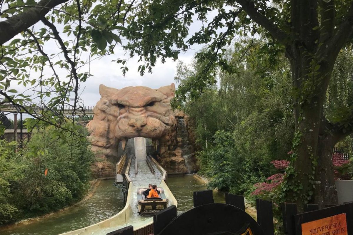 Great view at the Chessington