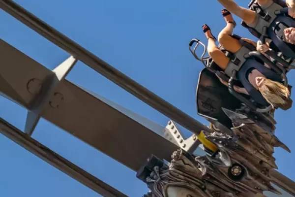 rides_the-swarm-1 rides_the-swarm-1